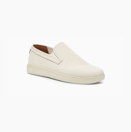 UGG Pismo Slip-On White Sneakers for Men (AGJX34285)